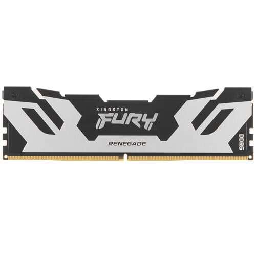 Оперативная память Kingston FURY Renegade Silver [KF572C38RS-24] 24 ГБ thumb 1